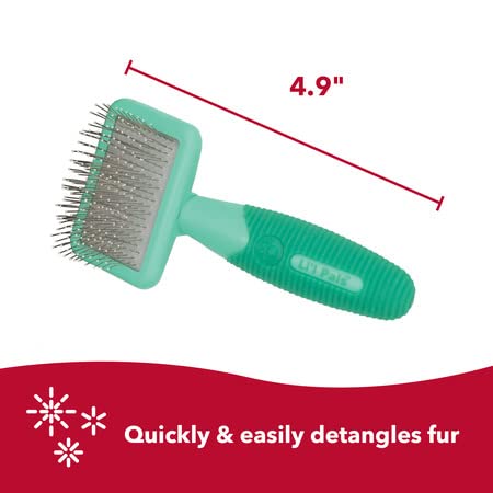 Coastal Pet Li'l Pals Kitten Slicker Brush For Pets with Coated Tips - 076484788017