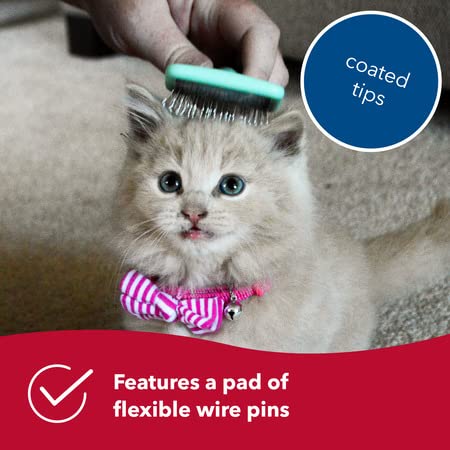 Coastal Pet Li'l Pals Kitten Slicker Brush For Pets with Coated Tips - 076484788017