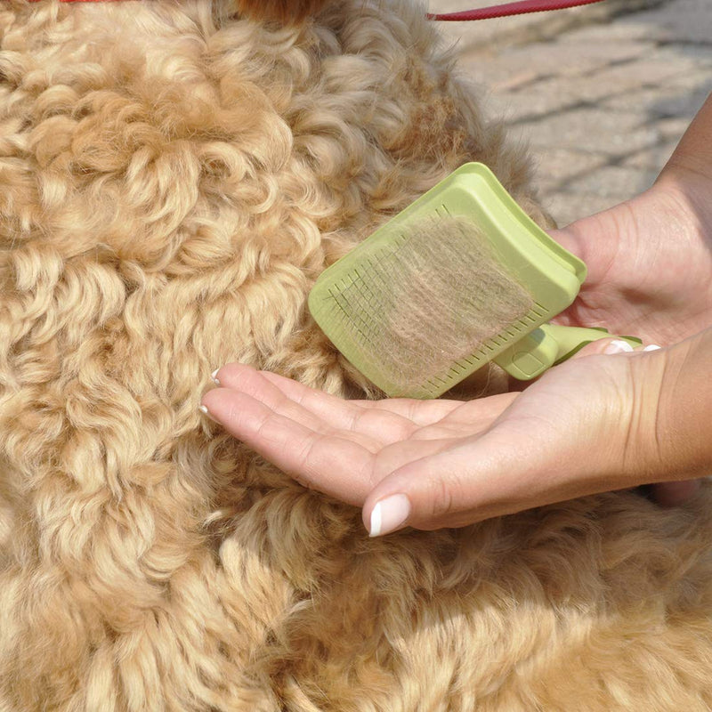 Coastal Pet Safari Dog Self - Cleaning Slicker Brush - Dog Deshedding Brush For Dogs with Short or Long Hair - Prevents Mats and Tangled Hair - Large - 8" x 4.5" - 076484741043