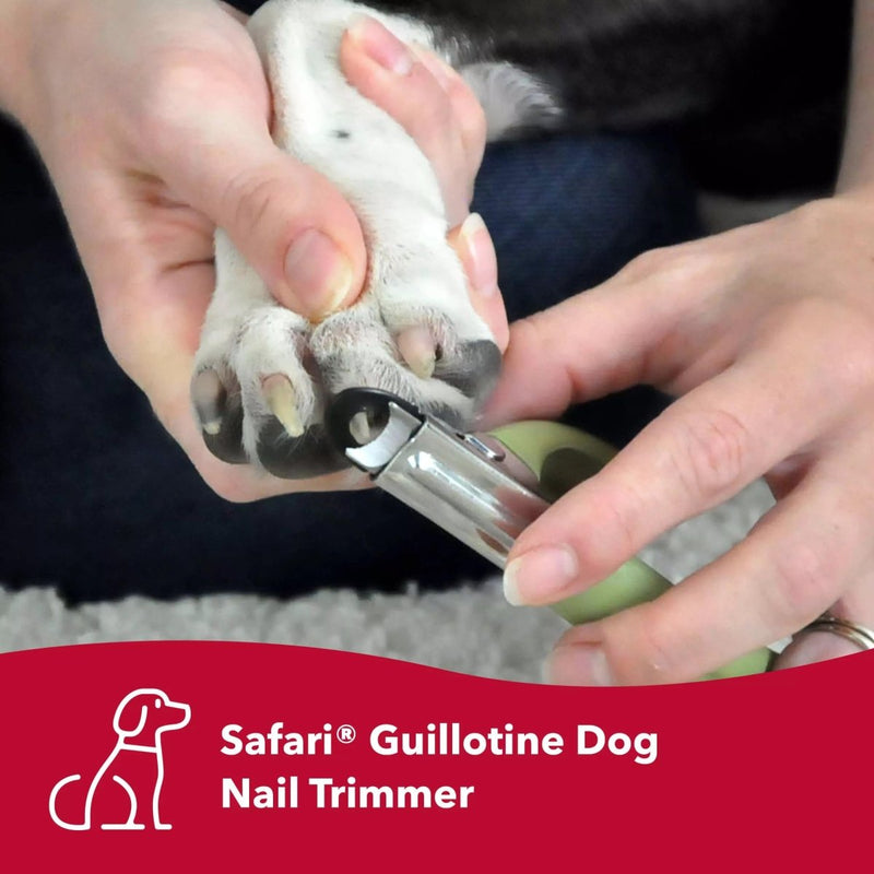 Coastal Pet Safari Guillotine Dog Nail Trimmer - Double - Bladed Guillotine Style Dog Nail Trimmers for Medium to Large Dogs - Large - trimmer - 076484510649