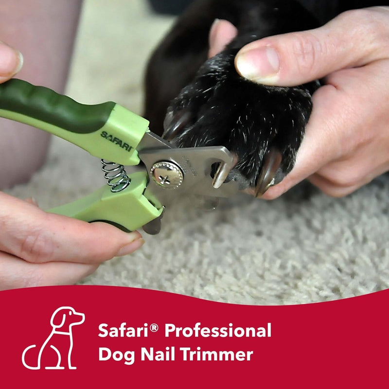 Coastal Pet Safari Professional Dog Nail Trimmer - Pet Nail Clippers for Large Dogs - Large - 6.6" x 2" - 076484510663