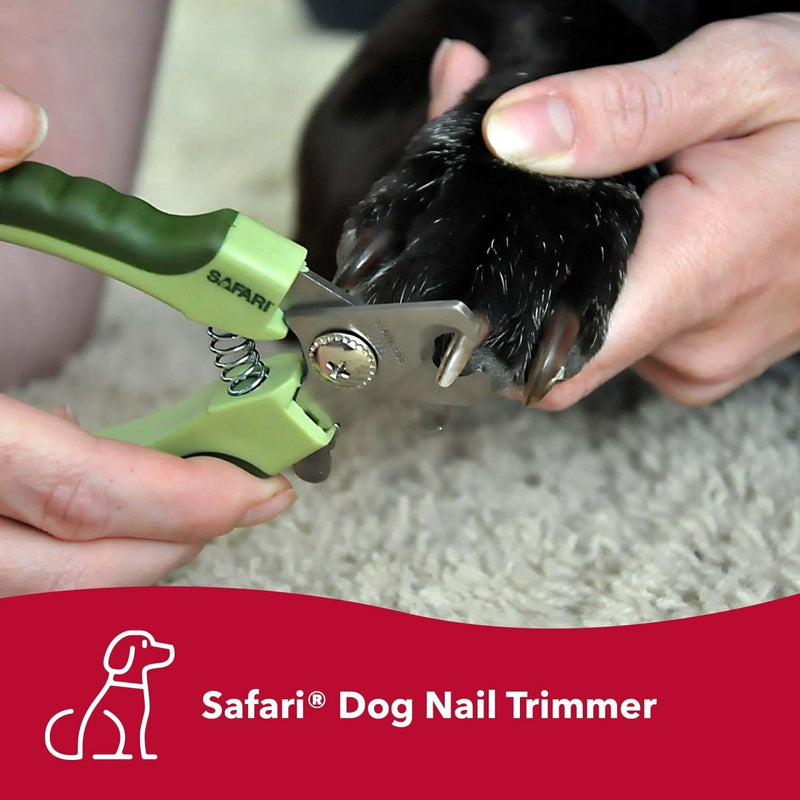 Coastal Pet Safari Professional Dog Nail Trimmer - Pet Nail Clippers for Small Dogs - Safety Stop & Non - Slip Grip - Standard, 5" x 1.5" - 076484510656