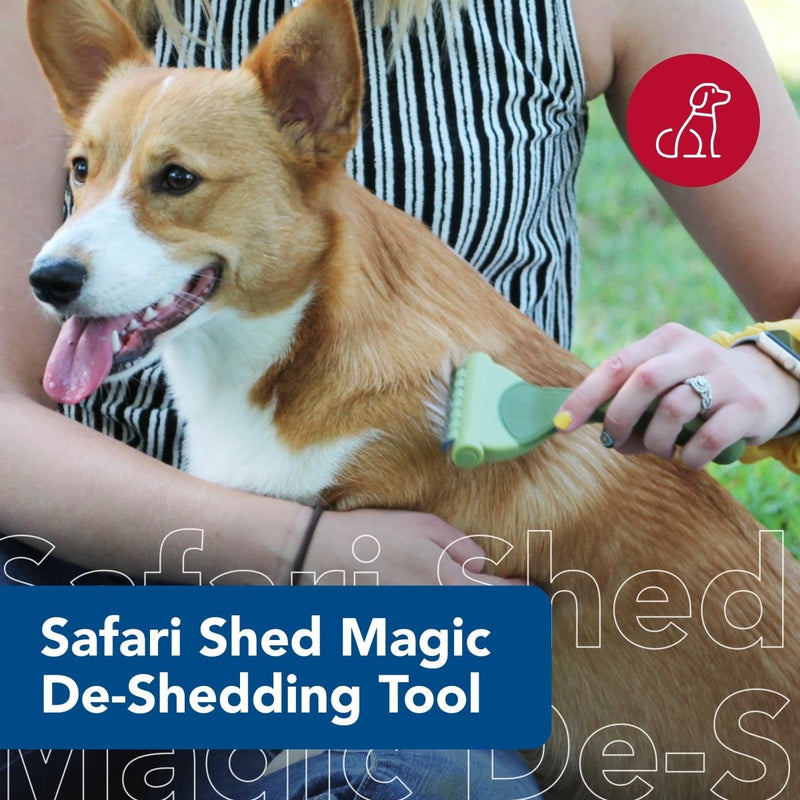 Coastal Pet Safari Shed Magic Deshedding Tool for Dogs with Medium to Long Hair - Deshedding & Detangling Dog Brush - Large - grooming tool - 076484961274