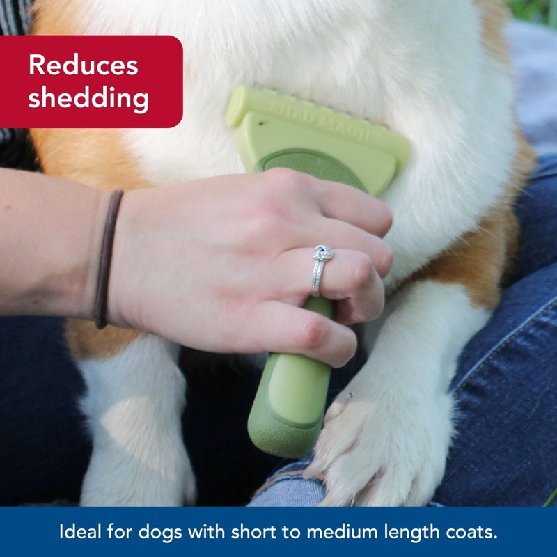 Coastal Pet Safari Shed Magic Deshedding Tool for Dogs with Medium to Long Hair - Deshedding & Detangling Dog Brush - Large - grooming tool - 076484961274