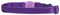 Coastal Pet Safe Cat Adjustable Snag - Proof Nylon Breakaway Collar For Cat - Adjust 8" to 12" - Purple - cat collar - 076484550102