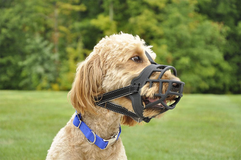 Coastal Pet Soft Basket Muzzle for Dog - dog muzzle - 076484136085