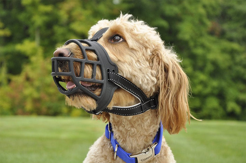 Coastal Pet Soft Basket Muzzle for Dog - dog muzzle - 076484136085