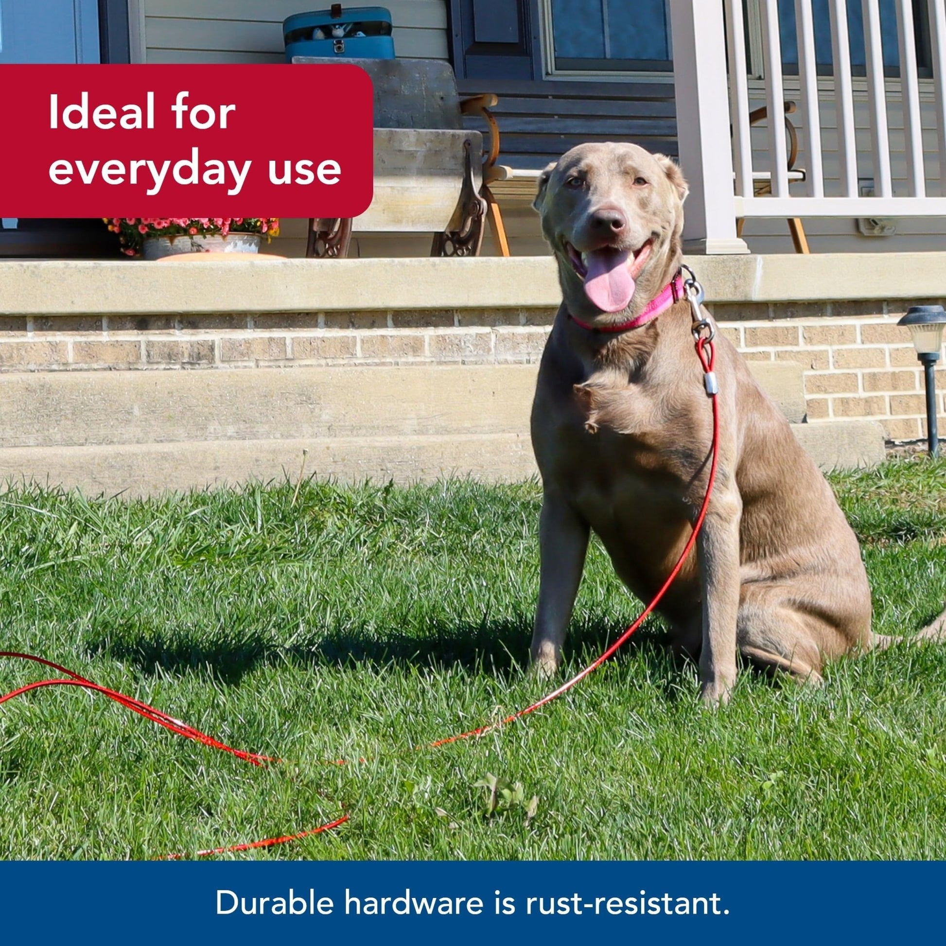 Coastal Pet Titan Heavy Cable Dog Tie Out - Heavy - Duty Dog Tie Out Cable - Cable Tie Out For Dogs Up To 80 Lbs - Rust - Resistant Pet Tie Out Cable - Quality Dog Supplies - 20'