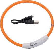Coastal Pet USB Light - Up Neck Ring - Dog Collar with Lights for Night Safety - Comfortable Dog Collar - Rechargeable Neck Ring - Waterproof - Orange 16"