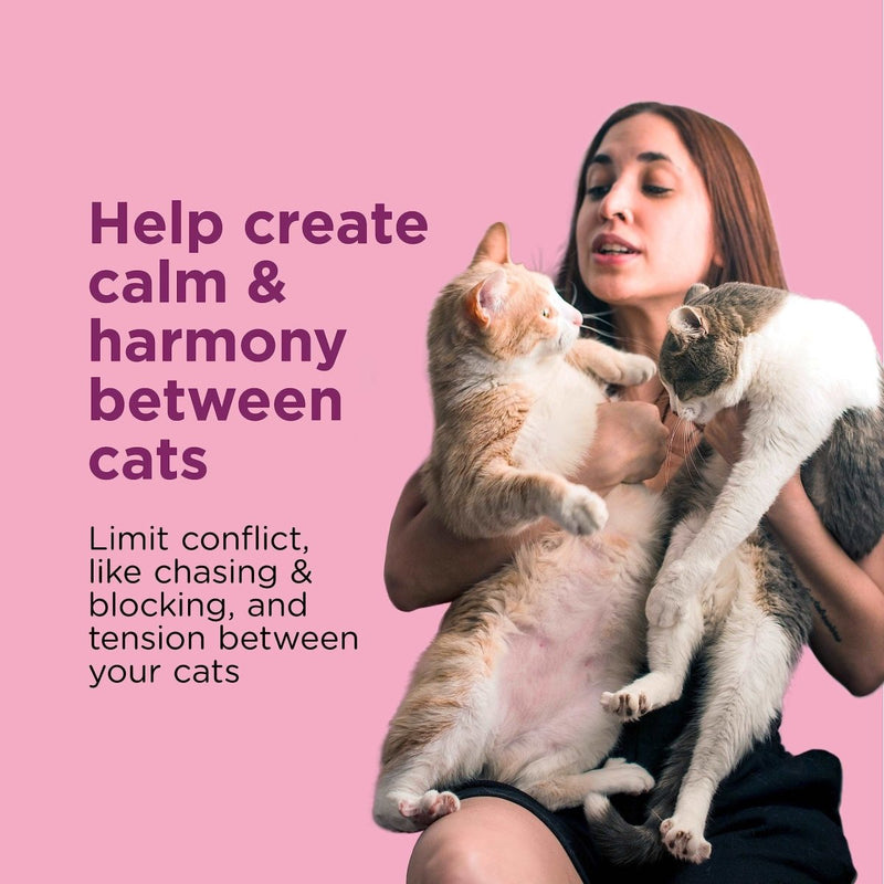 Comfort Zone Multi - Cat Diffuser Veterinarian Recommended to Stop Cat Fighting, Reduce Spraying, Scratching & More - 039079003421