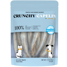 Crunchy Capelin - Cat and Dog Treat - 100% Capelin - Grain Free - Human Grade - All Natural - Single Ingredient - Freeze Dried - 1.73 Ounces