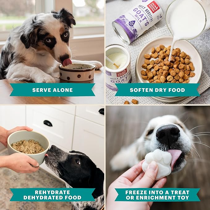 Daily booster turkey bone broth the honest kitchen
