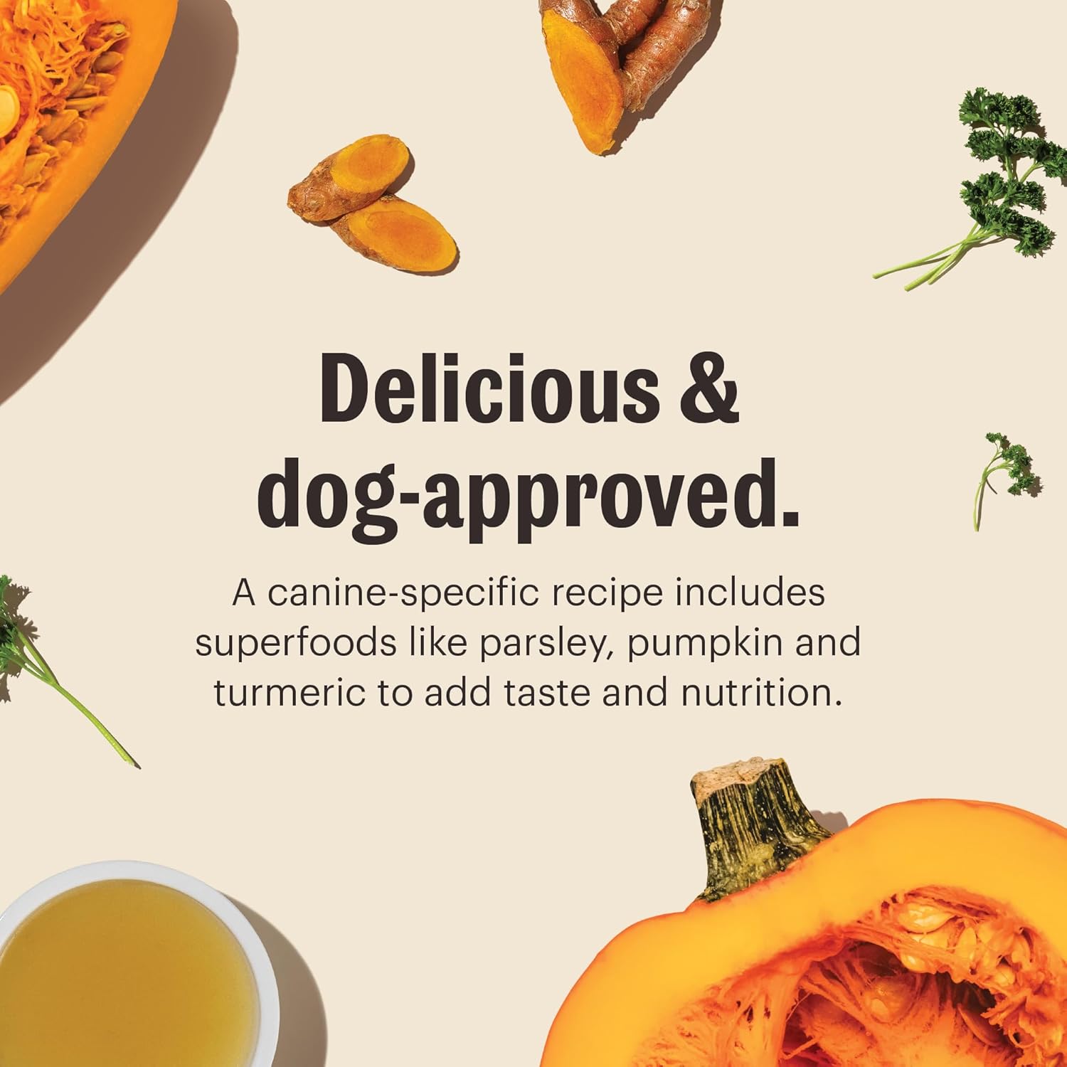 Daily booster turkey bone broth the honest kitchen