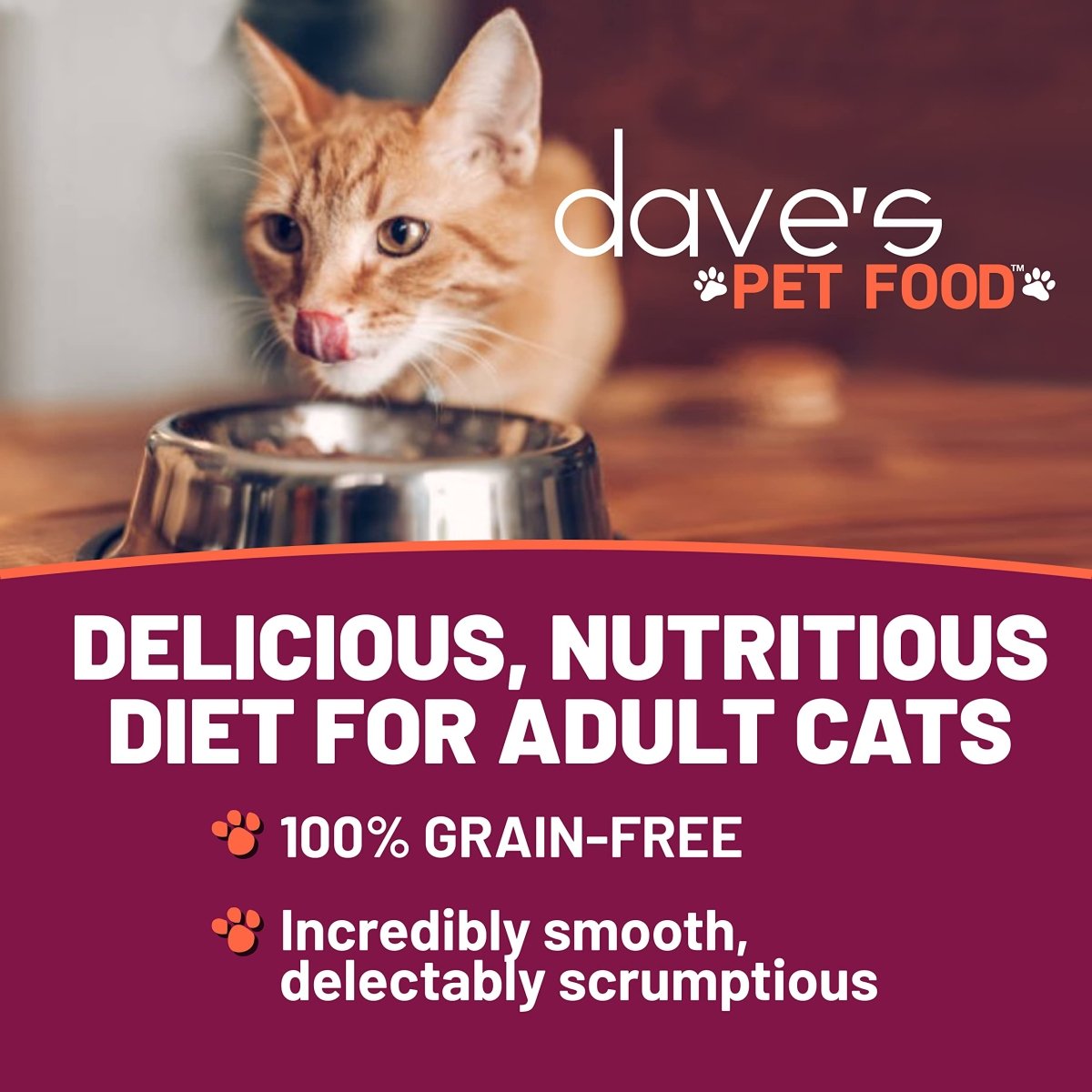 Dave's Pet Food Grain Free Wet Cat Food - Shredded Chicken & Duck in Gravy - Naturally Healthy Canned Cat Food - Added Vitamins & Minerals - Wheat - Gluten & GMO - Free - 2.8 oz Cans - wet cat food - 685038118394