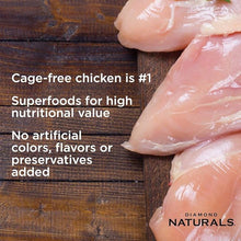 Diamond Naturals Small Medium Breed Puppy Chicken Rice 6lbs