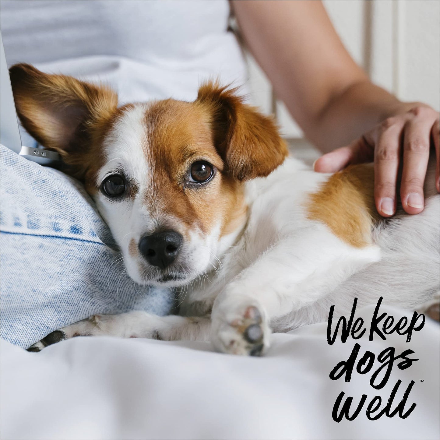 Dogswell Remedy + Recovery 0.5% Hydrocortisone Lotion For Dogs, 4 Oz.