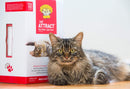 Dr. Elsey's Precious Cat Attract Problem Cat Training Litter - 20 pound box - cat litter - 000338007771