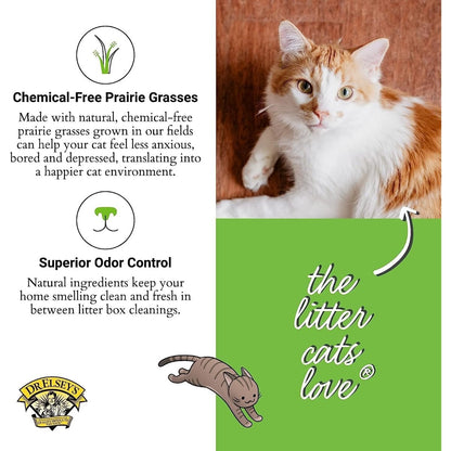Dr. Elsey's Precious Cat Touch of Outdoors Litter Bag, 20 lb - cat litter - 000338001205
