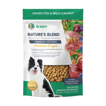 Dr. Marty Nature's Blend Premium Orijin Freeze - Dried Dog Food, Original - 16 oz
