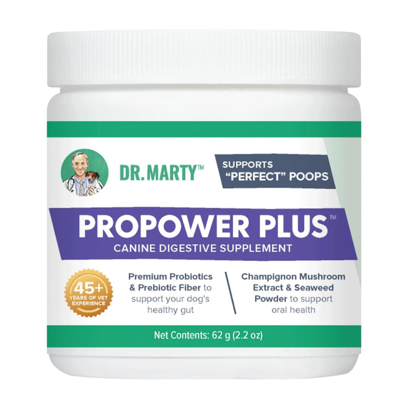 Dr. Marty ProPower Plus Gut Dog Health Supplement - 2.2 Oz Jar - 850004357033