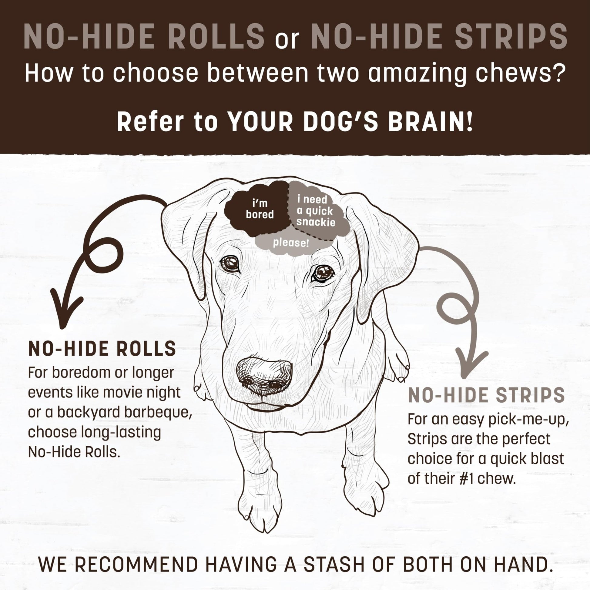 Earth Animal No Hide Stix Salmon Flavored Natural Rawhide Free Dog Chews Long Lasting Dog Chew Sticks | Dog Treats For Small Dogs And Cats | Great Dog Chews For Aggressive Chewers
