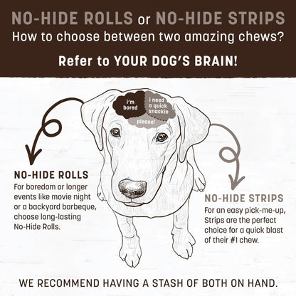 Earth Animal No Hide Stix Salmon Flavored Natural Rawhide Free Dog Chews Long Lasting Dog Chew Sticks | Dog Treats For Small Dogs And Cats | Great Dog Chews For Aggressive Chewers