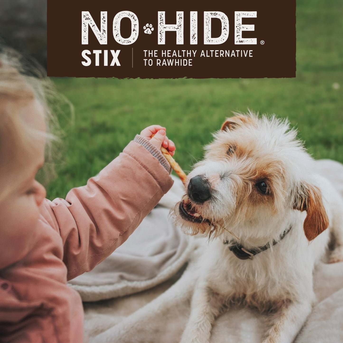 Earth Animal No Hide Stix Salmon Flavored Natural Rawhide Free Dog Chews Long Lasting Dog Chew Sticks | Dog Treats For Small Dogs And Cats | Great Dog Chews For Aggressive Chewers