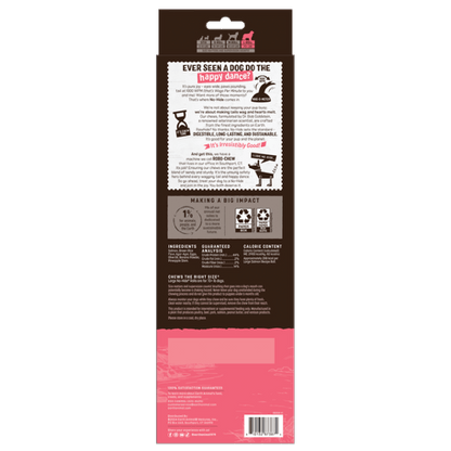 Earth animal plant based no hide dog chew salmon medium dog treat