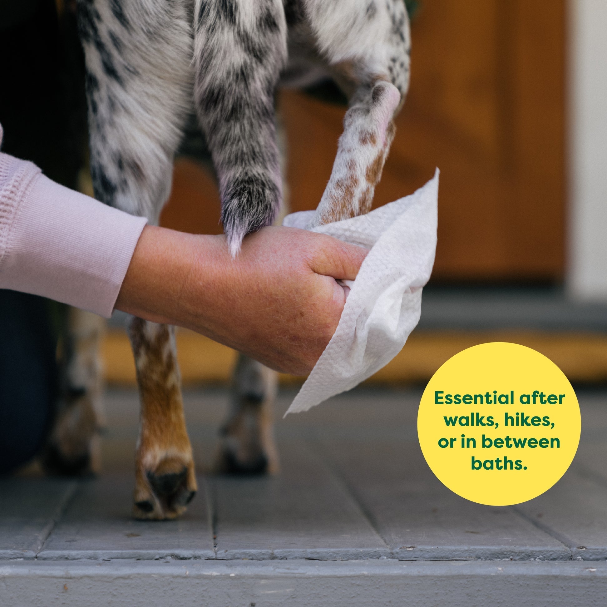Earth rated lavender dog wipes 60ct