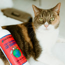 earthbath Wild Cherry 2 - in - 1 Cat Conditioning Shampoo - Cruelty Free Cat Shampoo and Conditioner - 16 Oz - dog shampoo - 602644021214