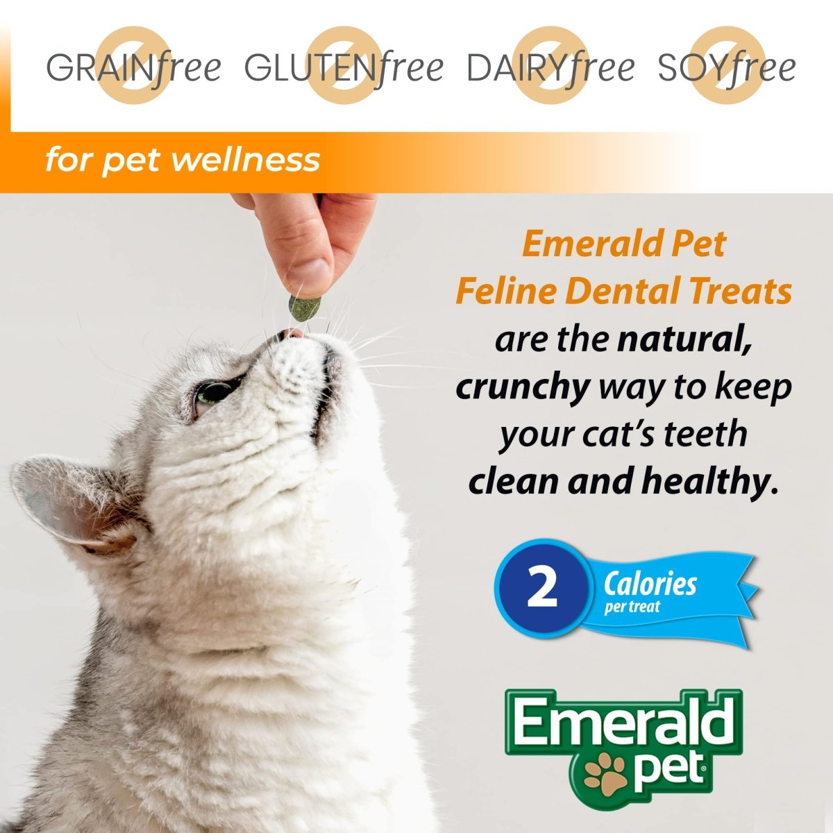 Emerald Pet Feline Dental Treats Tasty and Crunchy Cat Dental Treats Grain Free - Natural Dental Catnip Treats - 3 oz - 853258004098