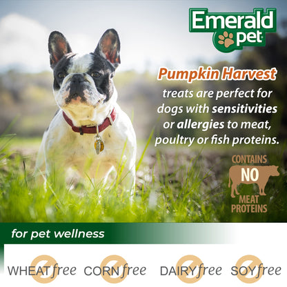 Emerald Pet Pumpkin Harvest Mini Trainers Pumpkin with Mixed Berry Chewy Dog Treats Made in The USA, Pumpkin with Mixed Berry 6oz (Mixed Berry Mini)