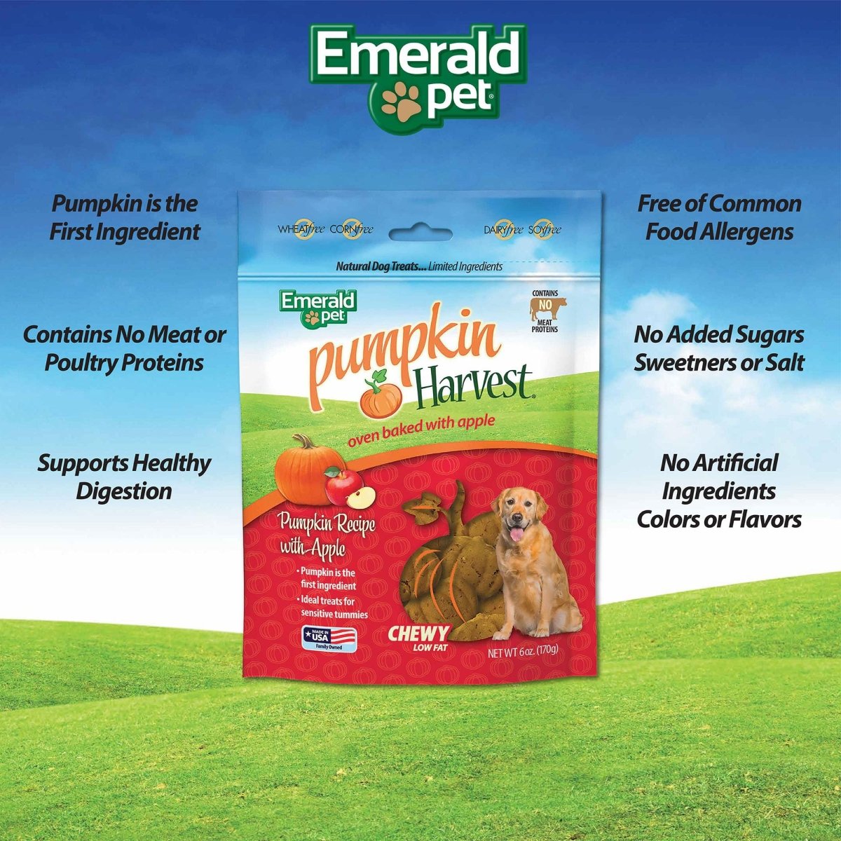 Emerald Pet Pumpkin Harvest Pumpkin Dog Treats — Low - Fat Chewy Natural Dog Treats with Pumpkin for Digestive Health — Meat Free, Poultry Free, Wheat Free Dog Treats — Apple, 6 oz - 856916006465