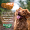 Emerald Pet Pumpkin Harvest Pumpkin Dog Treats — Low - Fat Chewy Natural Dog Treats with Pumpkin for Digestive Health — Meat Free, Poultry Free, Wheat Free Dog Treats — Apple, 6 oz - 856916006465