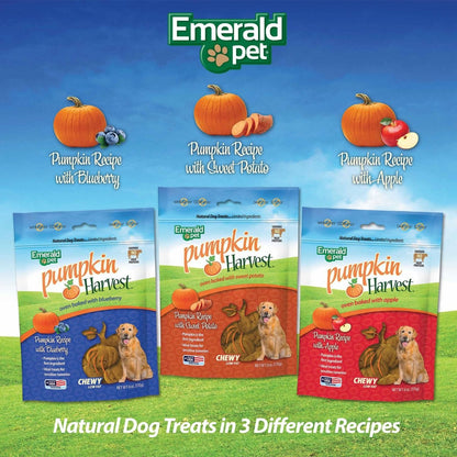 Emerald Pet Pumpkin Harvest Pumpkin Dog Treats — Low - Fat Chewy Natural Dog Treats with Pumpkin for Digestive Health — Meat Free, Poultry Free, Wheat Free Dog Treats — Apple, 6 oz - 856916006465