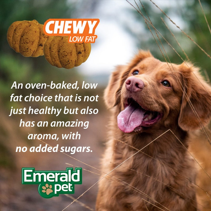 Emerald Pet Pumpkin Harvest Pumpkin Dog Treats — Low - Fat Chewy Natural Dog Treats with Pumpkin for Digestive Health — Meat Free, Poultry Free, Wheat Free Dog Treats — Blueberry, 6 oz - 856916006458