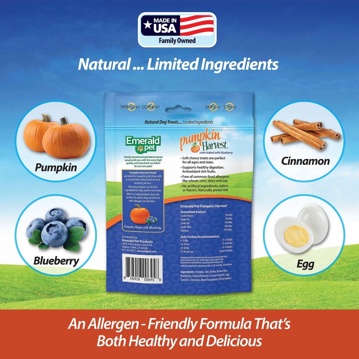 Emerald Pet Pumpkin Harvest Pumpkin Dog Treats — Low - Fat Chewy Natural Dog Treats with Pumpkin for Digestive Health — Meat Free, Poultry Free, Wheat Free Dog Treats — Blueberry, 6 oz - 856916006458