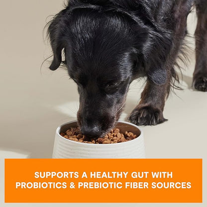 Epic blend chicken and superfood recipe open farm