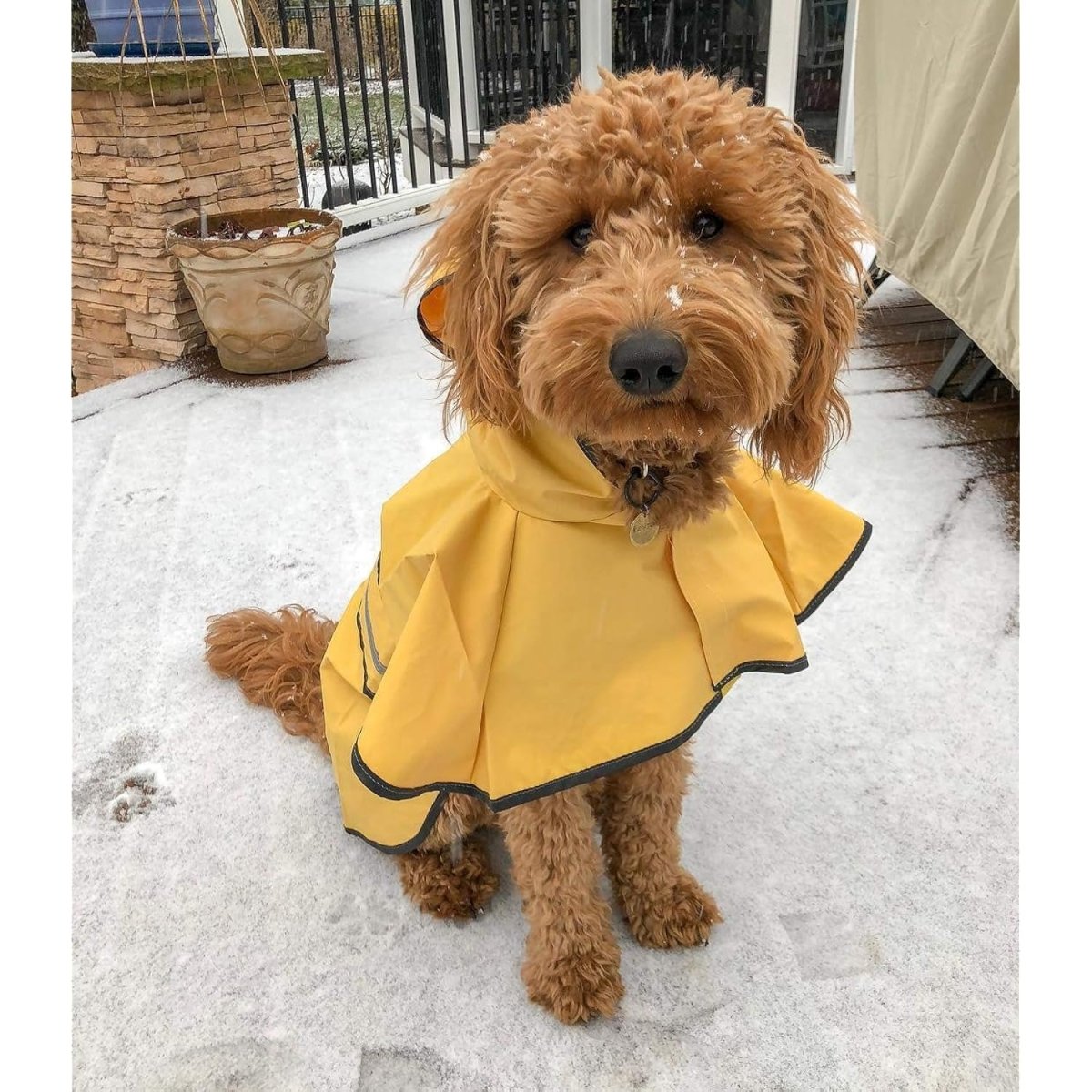 Ethical Pet Fashion Dog Rainy Days Slicker Yellow Raincoat - X - Small Dog Raincoat - dog clothing - 660204010535