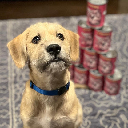 Evanger's Heritage Classics Puppy Dinner for Dogs 12.5 oz Cans - 077627101229