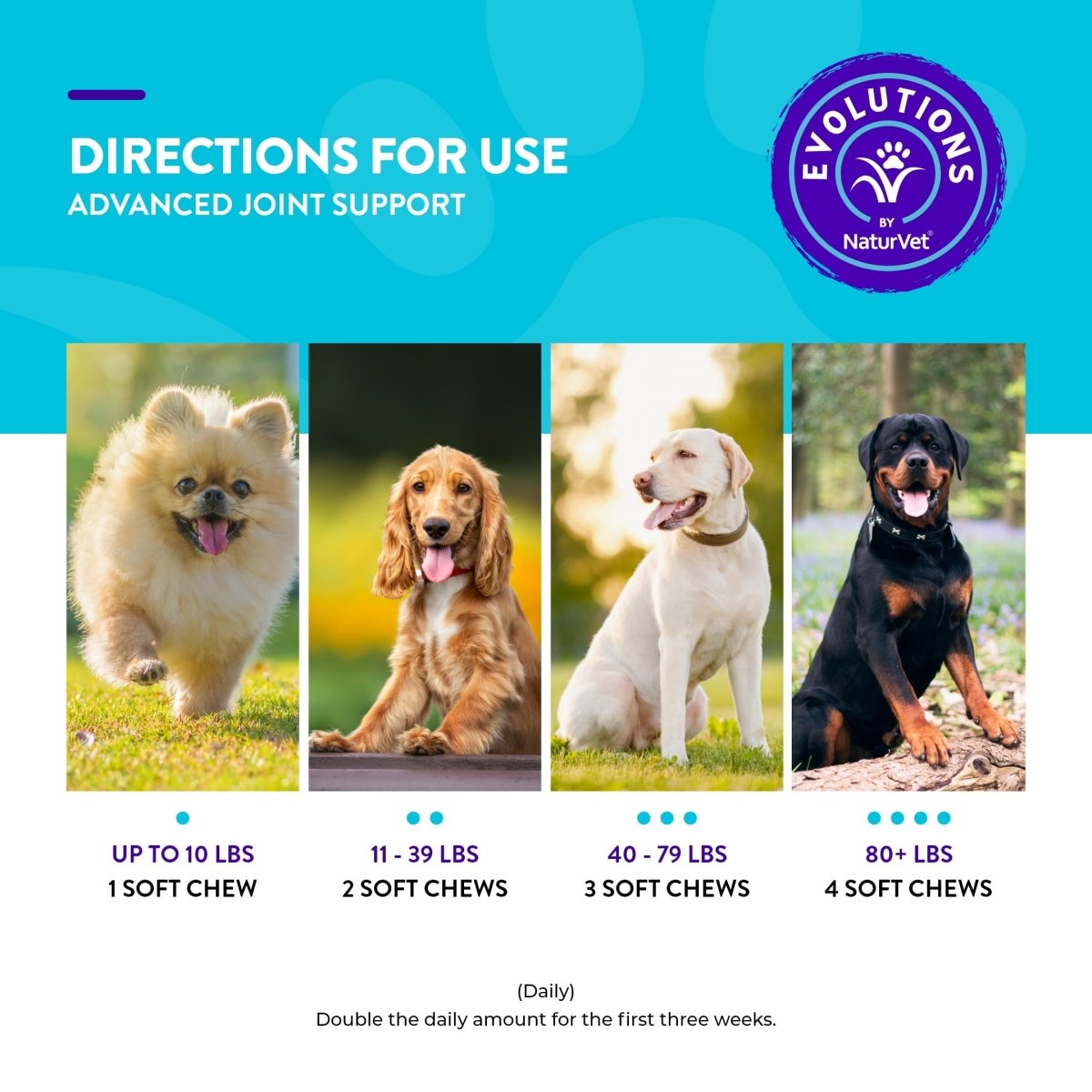 Evolutions by NaturVet Advanced Joint Support 90ct Soft Chews for Dogs - Helps Support Synovial Fluid - Cartilage - Connective Tissues - dog supplies - 797801603447