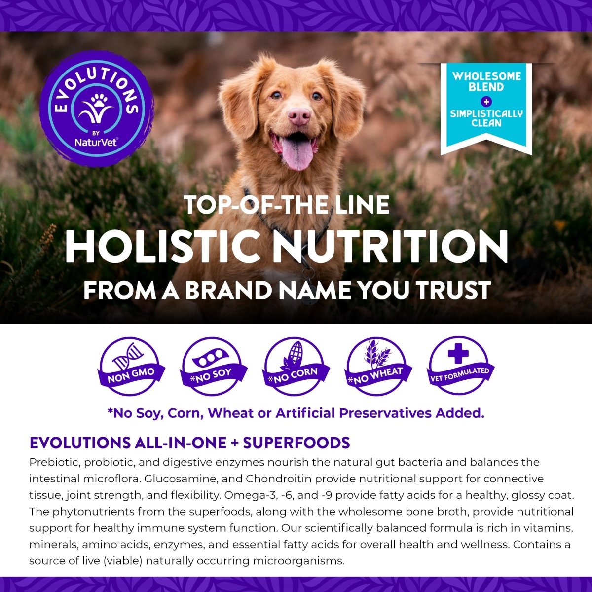 Evolutions by NaturVet All - in - One + Superfoods 90ct Soft Chews for Dogs - Bone Broth - Superfoods Provides Nutritional Support for Healthy Digestion - dog supplies - 797801603508