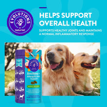 Evolutions by NaturVet Anchovy + Allergy & Joint Support 90ct Soft Chews for Dogs - Anchovy Oil, Bone Broth - Helps Maintain Normal Histamine Levels - Helps Support Normal Inflammatory Response - dog supplies - 797801603485