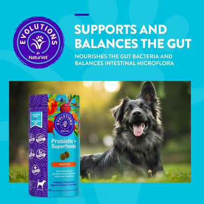 Evolutions by NaturVet Probiotic & Superfoods 90ct Soft Chews for Dogs - Prebiotic & Probiotic Blend - Digestive Enzymes - Bone Broth - Omega's - Nourishes Natural Gut Bacteria and Intestinal Microflora - dog supplies - 797801603522