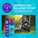 Evolutions by NaturVet Probiotic & Superfoods 90ct Soft Chews for Dogs - Prebiotic & Probiotic Blend - Digestive Enzymes - Bone Broth - Omega's - Nourishes Natural Gut Bacteria and Intestinal Microflora - dog supplies - 797801603522