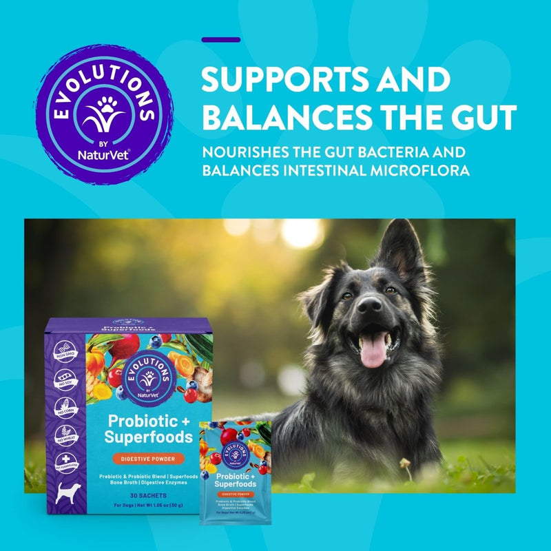 Evolutions by NaturVet Probiotic & Superfoods Digestive 30ct Powder Sachets for Dogs - Prebiotic & Probiotic Blend - Digestive Enzymes - Bone Broth Nourishes Natural Gut Bacteria & Intestinal Microflora - dog supplies - 797801500081