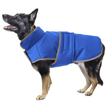 Fashion pet blanket coat size large blue