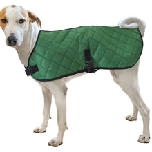Fashion pet blanket coat size xs dog blanket Hunter green