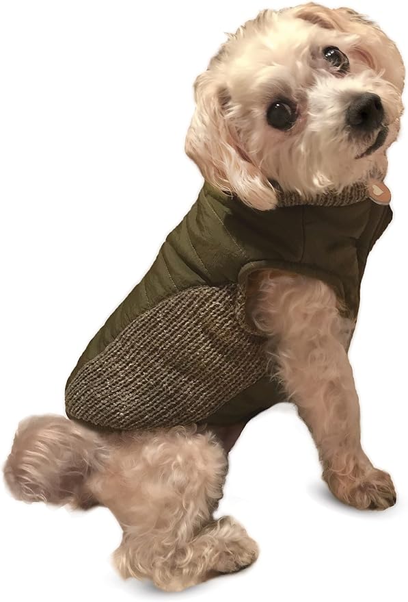 Fashion pet coat dog coat reversible puffy coat olive medium