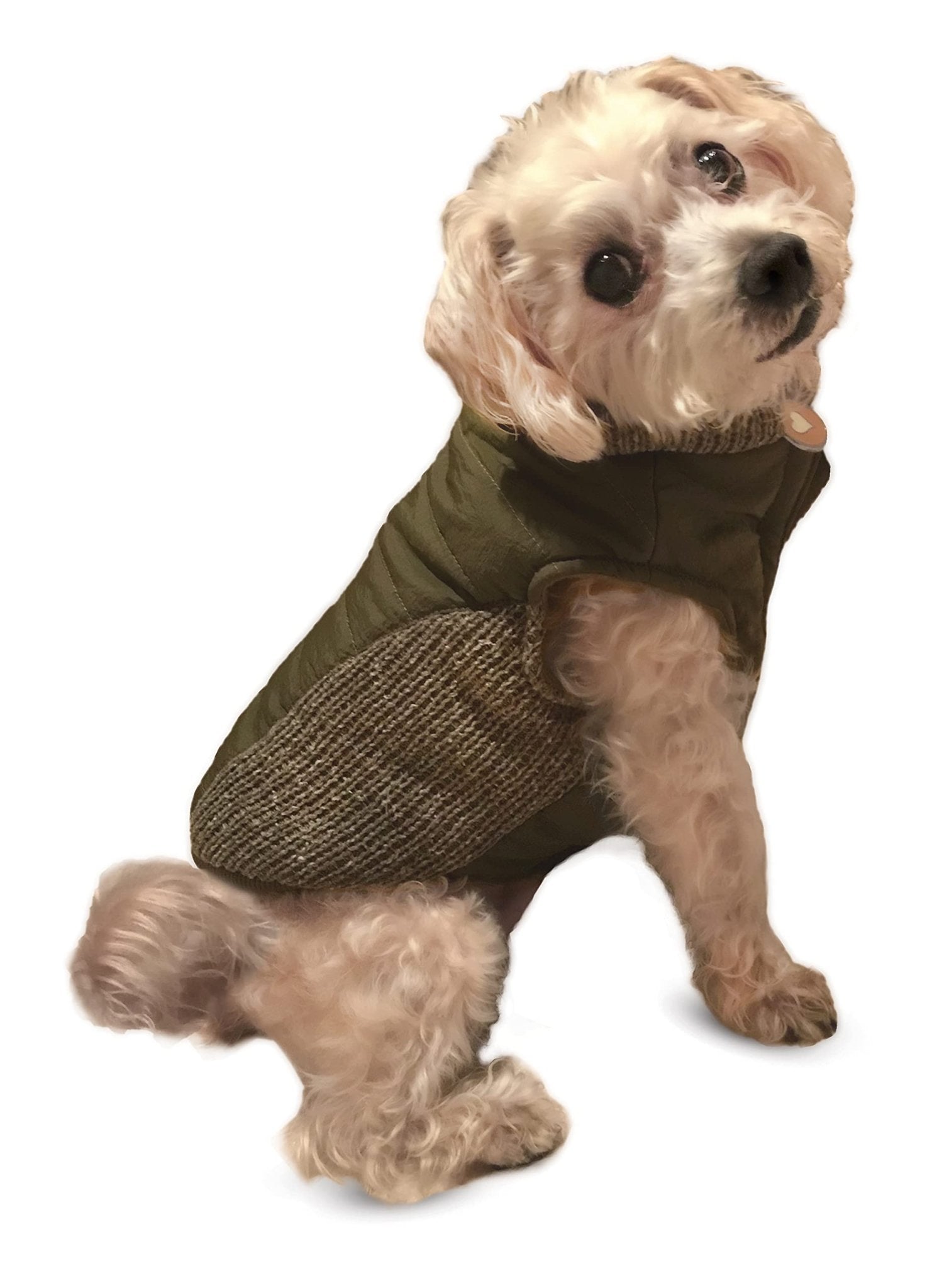 Fashion pet coat reversible dog puffy sweater jacket pet apparel size extra large olive green